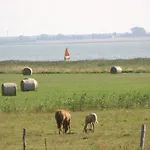 Boddenkieker Born