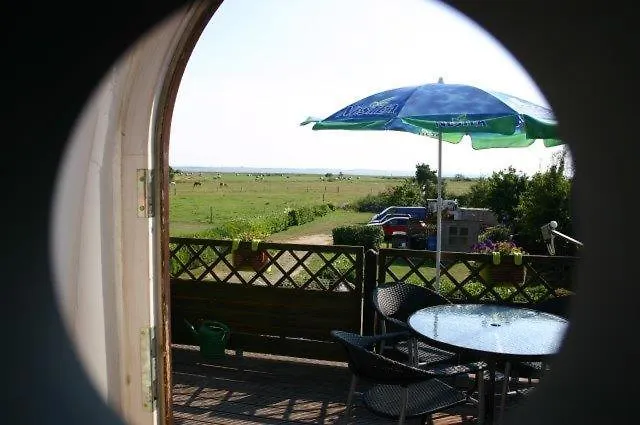 Boddenkieker * 博恩